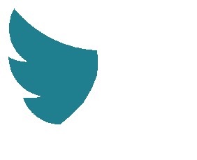 Twitter Wing